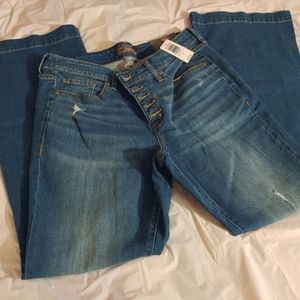 Torrid Mid Rise Bombshell Flare Jeans